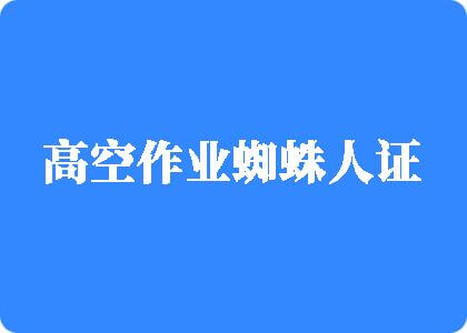 bb草逼网站高空作业蜘蛛人证